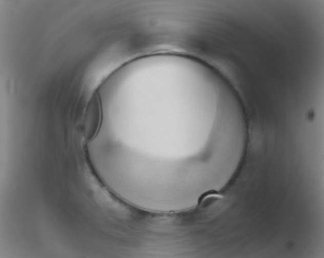 X0000115211373200911251457