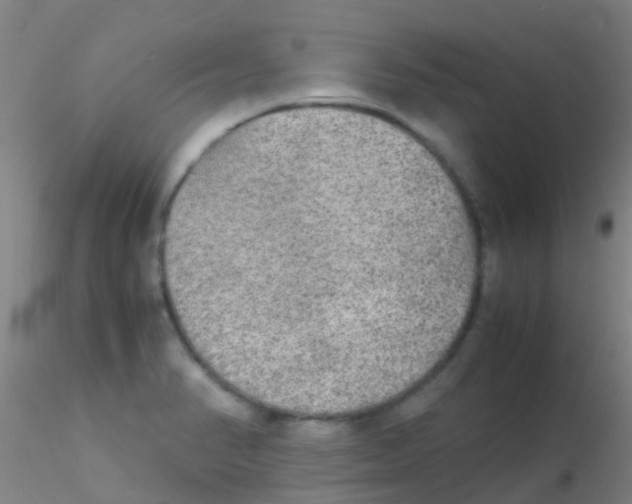 X0000115211374200911251457