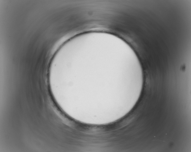 X0000115211375200911251457