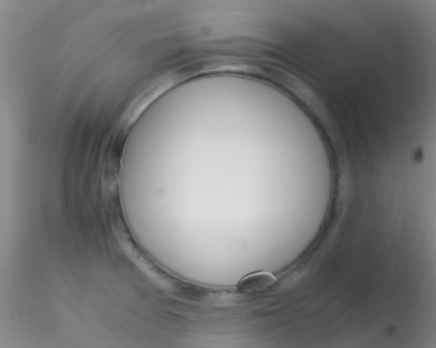 X0000115211377200911251457