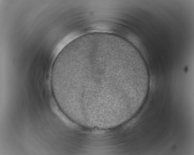 X0000115211378200911251457