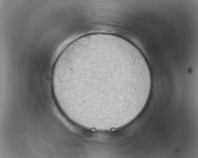 X0000115211379200911251457