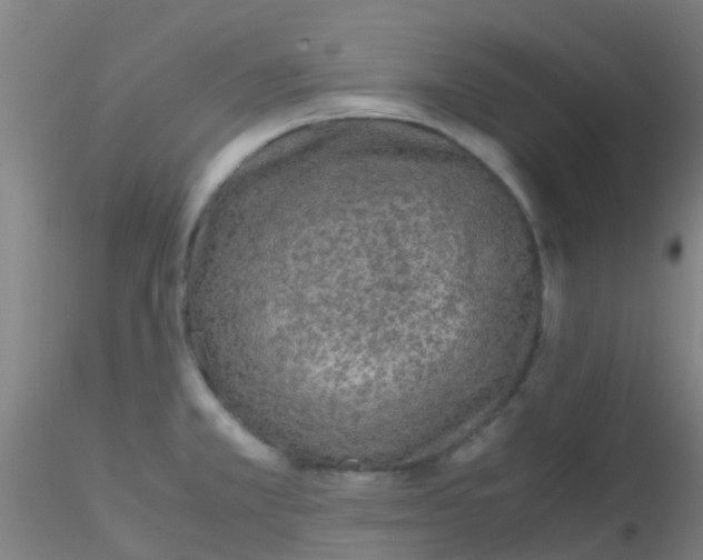 X0000115211381200911251457