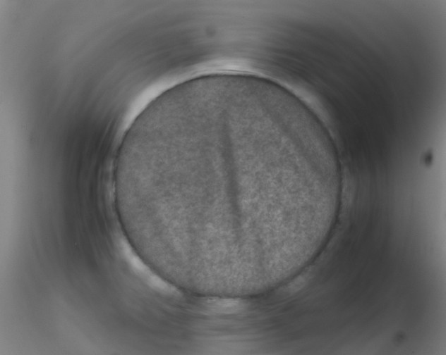 X0000115211382200911251457