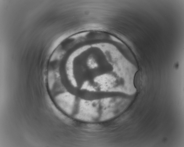 X0000115211383200911251457