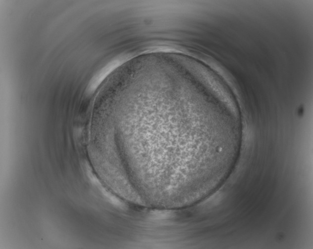 X0000115211385200911251457