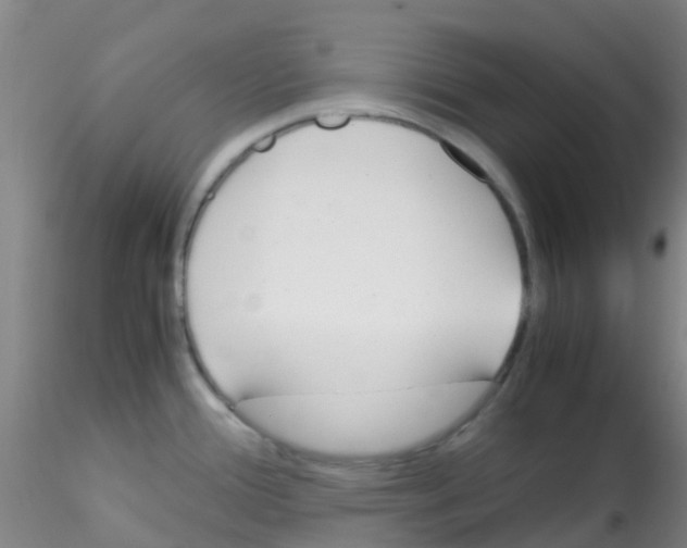 X0000115211388200911251457