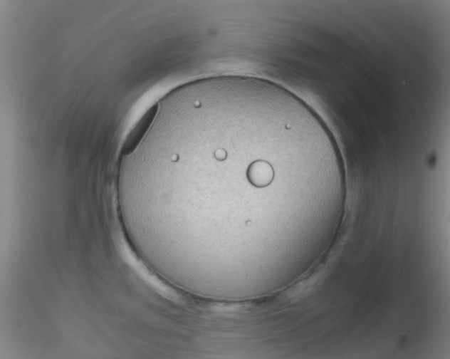 X0000115211389200911251457