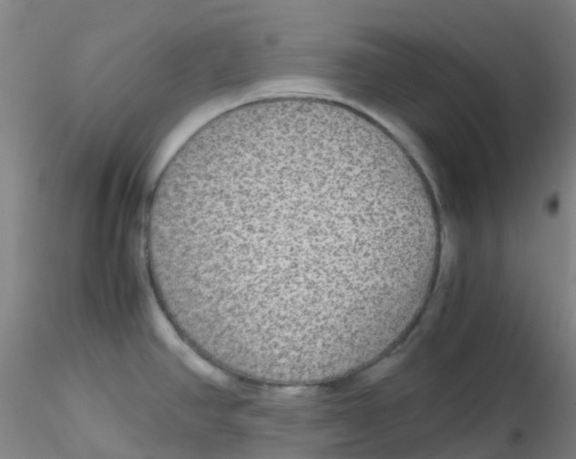 X0000115211390200911251457