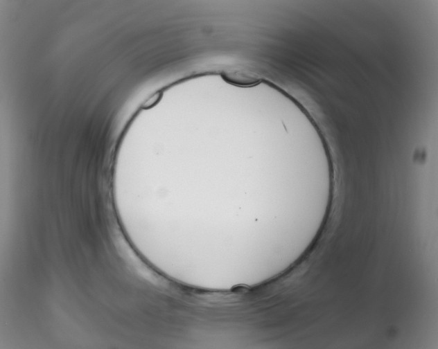 X0000115211392200911251457