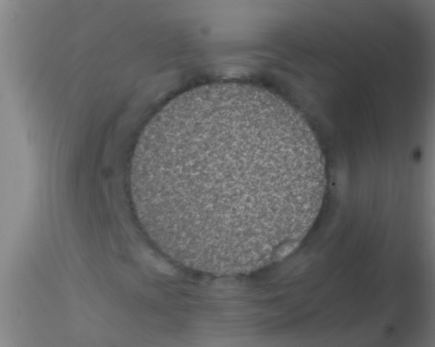 X0000115211393200911251456