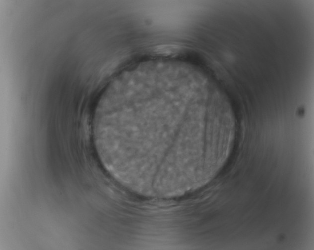 X0000115211394200911251456