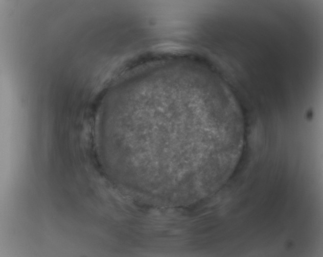 X0000115211397200911251456