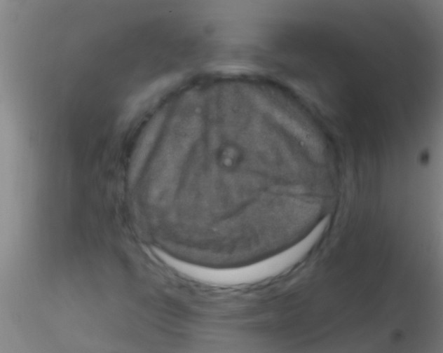 X0000115211398200911251456