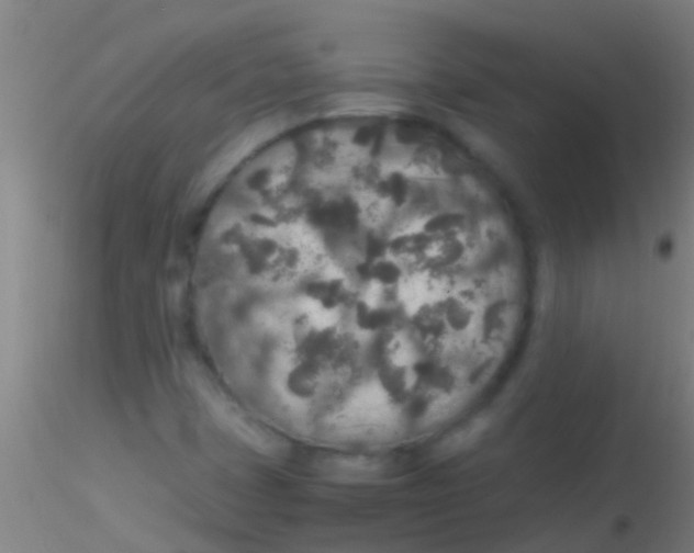 X0000115211401200911251456