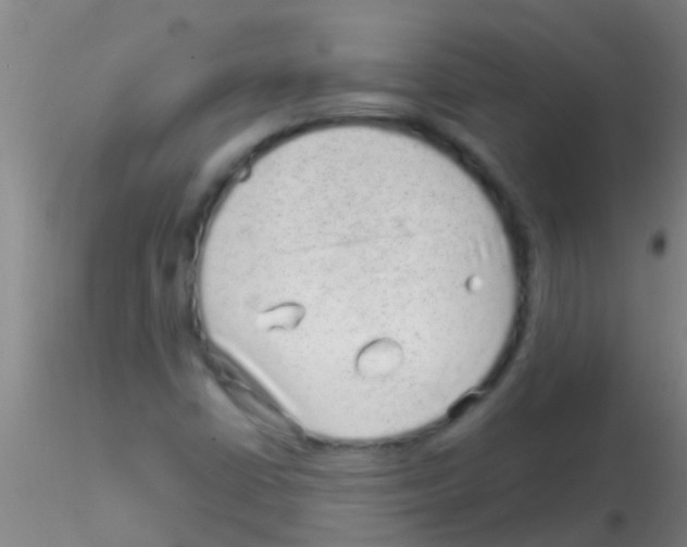 X0000115211402200911251456