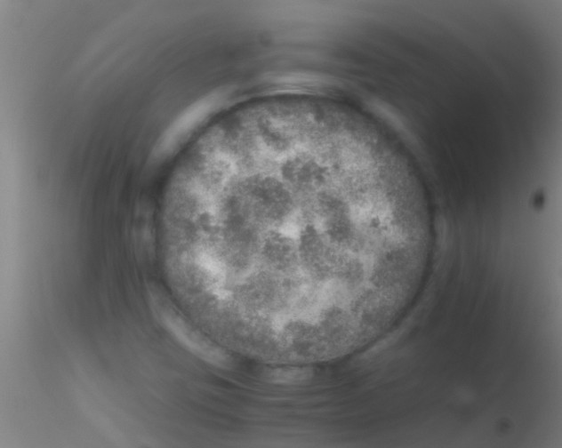 X0000115211403200911251456