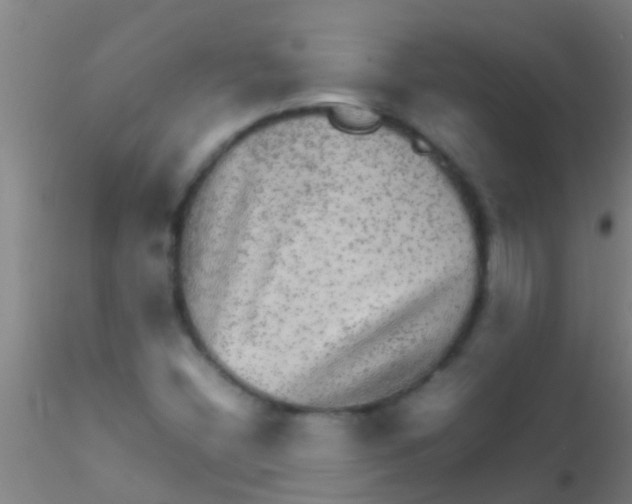 X0000115211404200911251456