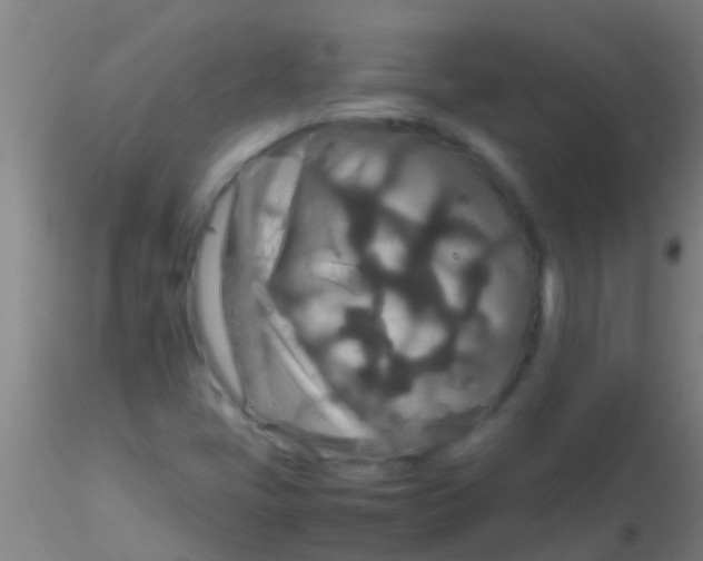 X0000115211405200911251456