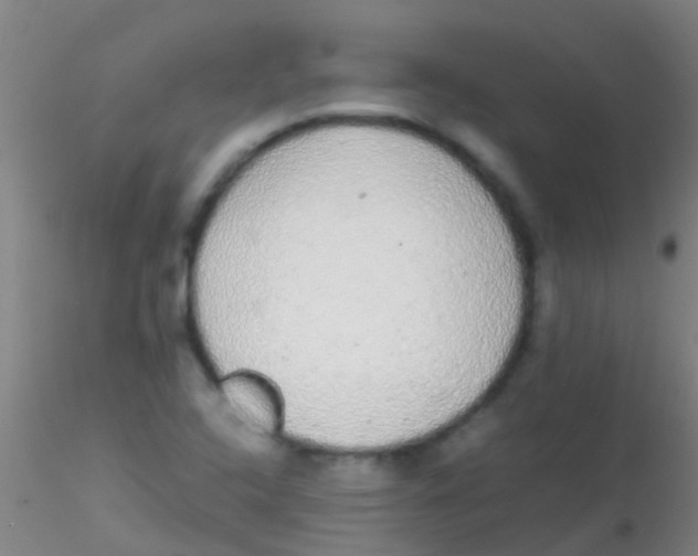 X0000115211408200911251456