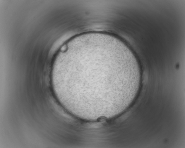 X0000115211410200911251456