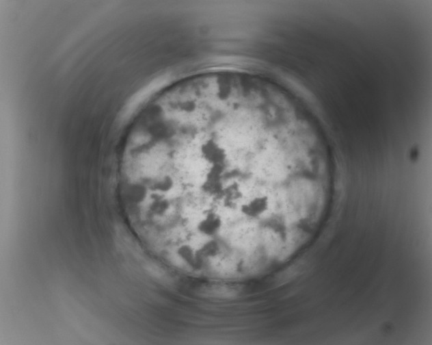 X0000115211411200911251456