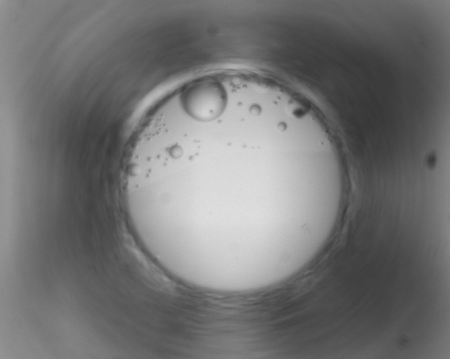 X0000115211412200911251456