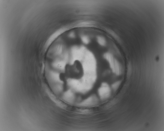 X0000115211413200911251456