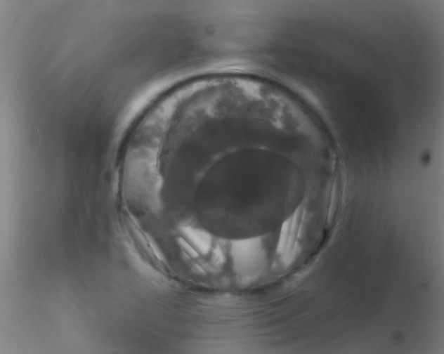 X0000115211414200911251456