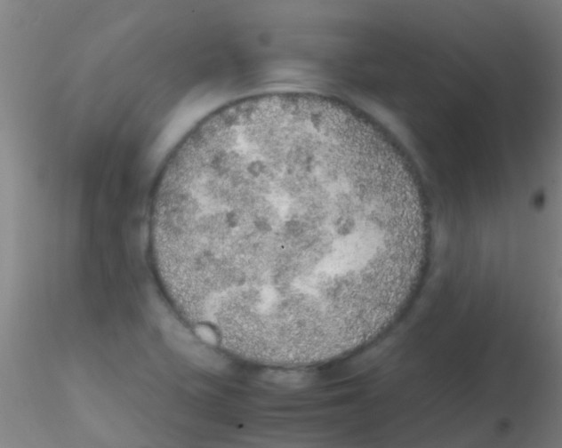 X0000115211415200911251456