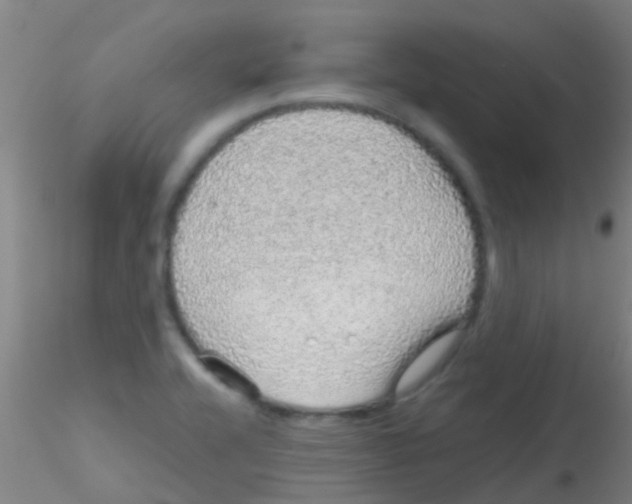 X0000115211416200911251456