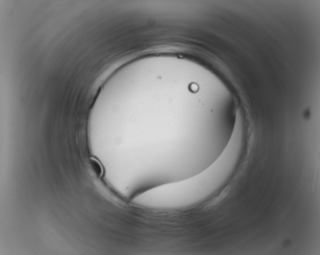 X0000115211417200911251456