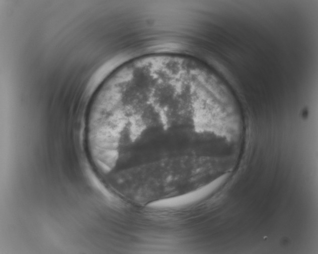 X0000115211418200911251456