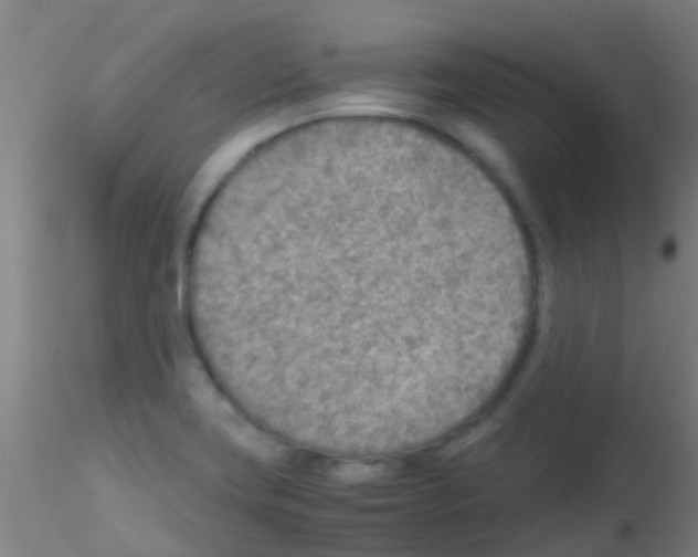 X0000115211419200911251456