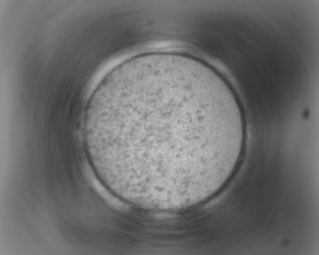 X0000115211421200911251456