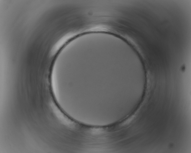 X0000115211422200911251456