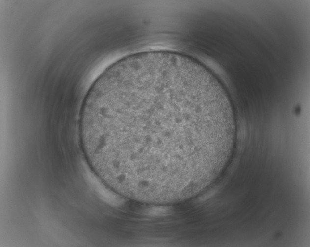 X0000115211423200911251456