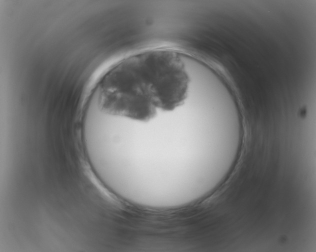 X0000115211424200911251456