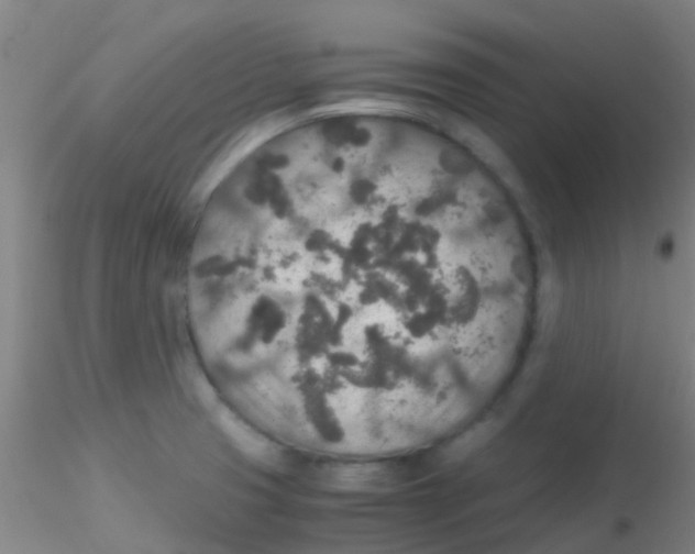 X0000115211425200911251456