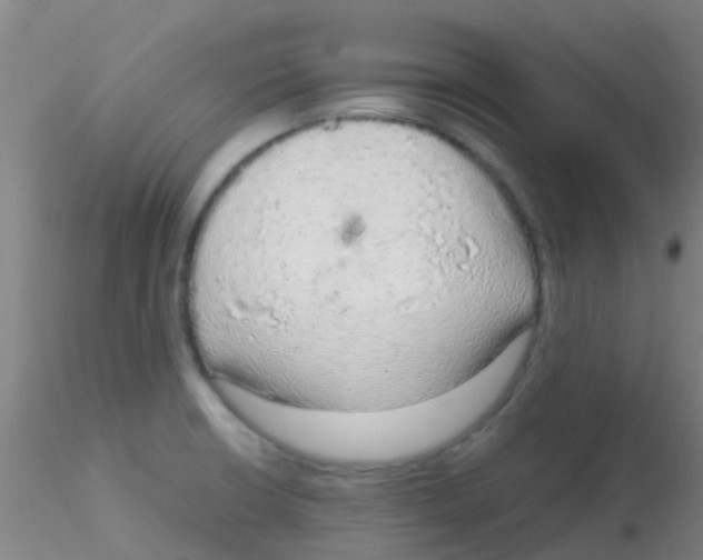 X0000115211426200911251456