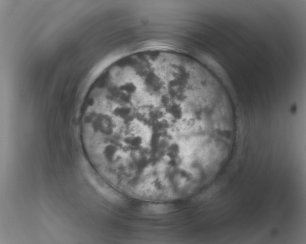 X0000115211427200911251456