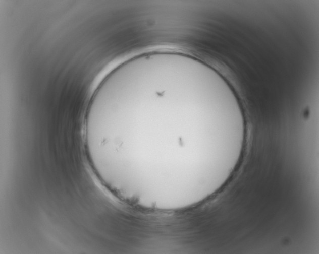 X0000115211428200911251456