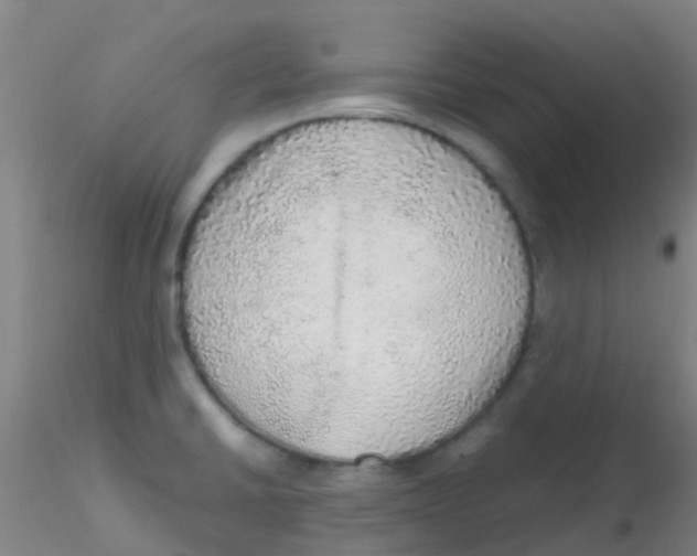 X0000115211430200911251456