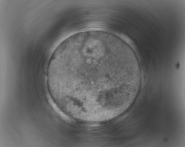 X0000115211431200911251456