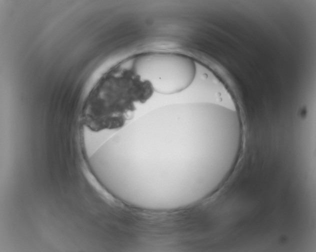 X0000115211432200911251456