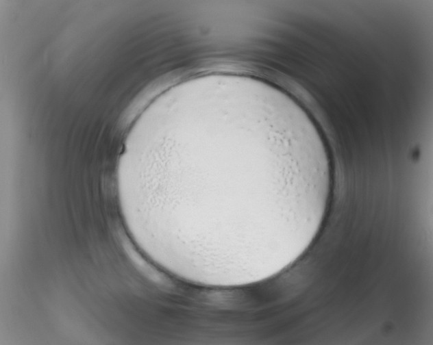 X0000115211433200911251456