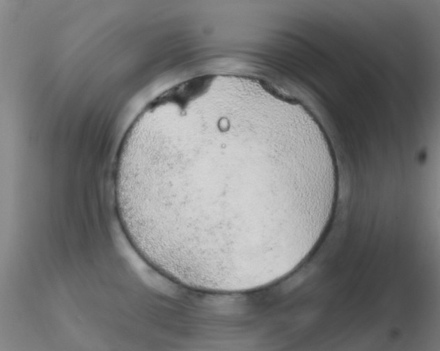 X0000115211434200911251457