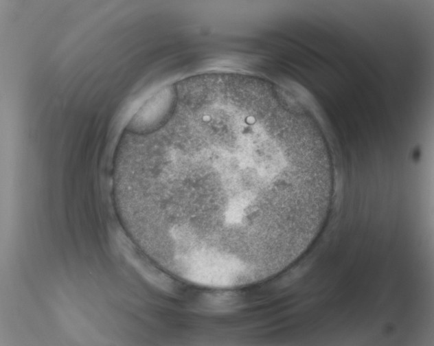 X0000115211435200911251457