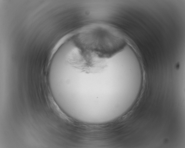 X0000115211436200911251457