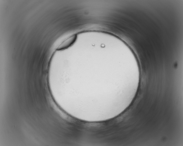 X0000115211437200911251457